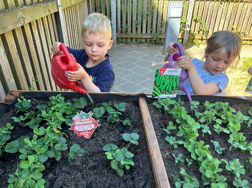 Am neuen Hochbeet k&ouml;nnen auch kleine G&auml;rtner gut arbeiten