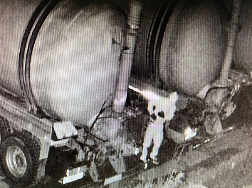 Einbrecher beim S&uuml;dharzer Landhandel