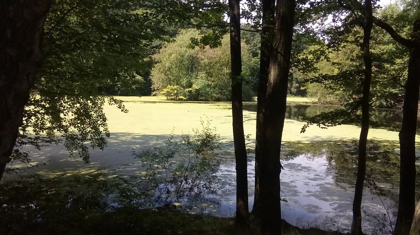Bei Steinsee unterwegs