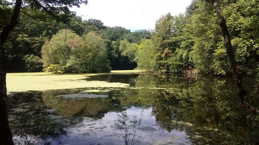 Bei Steinsee unterwegs
