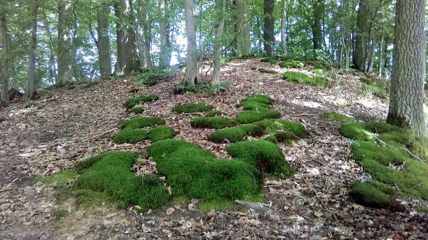Bei Steinsee unterwegs