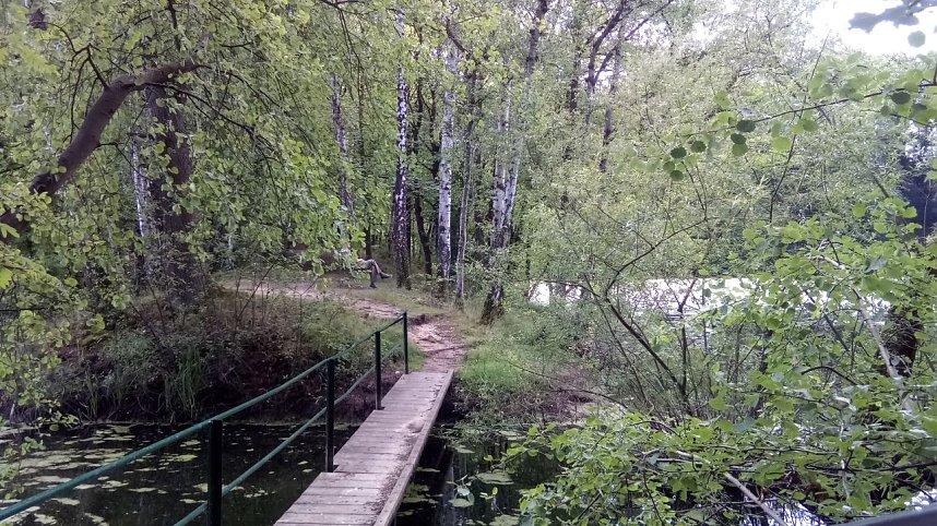 Bei Steinsee unterwegs