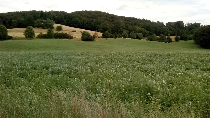 Bei Steinsee unterwegs