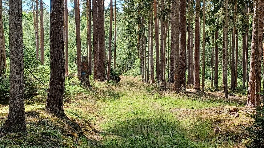 R&uuml;diger Neitzke erkundet das sch&ouml;ne Th&uuml;ringen