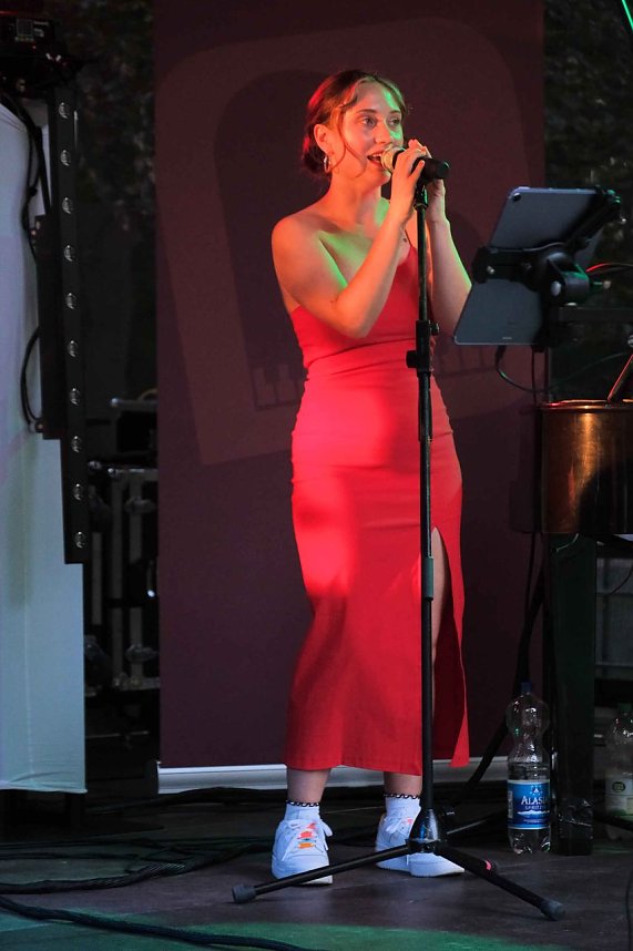 Parknick im F&ouml;rstemannpark