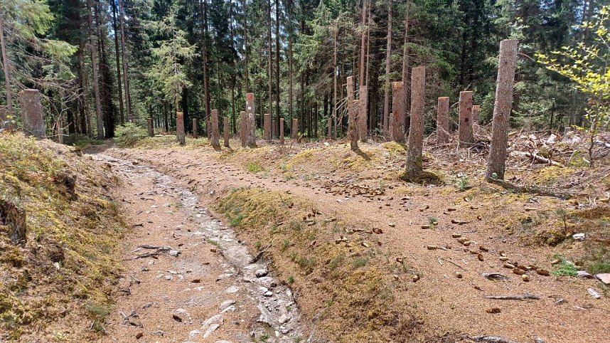 Unterwegs per pedes in Th&uuml;ringen