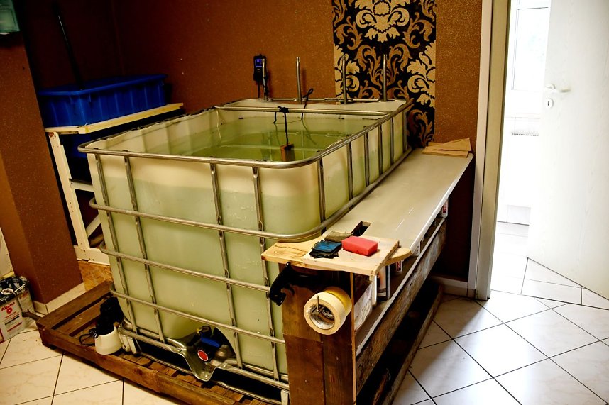 Neuer&ouml;ffnung gefeiert 