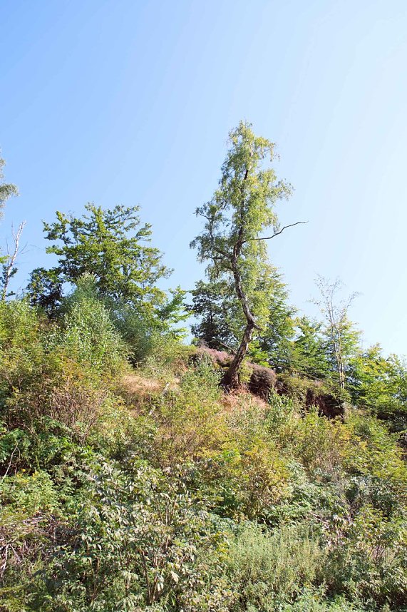 Peter Blei unterwegs an der Neust&auml;dter Talsperre