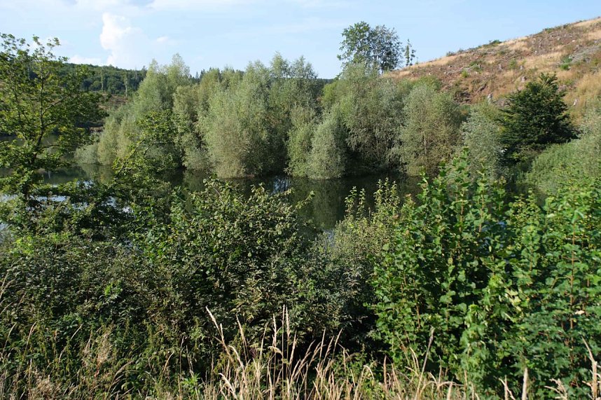 Peter Blei unterwegs an der Neust&auml;dter Talsperre