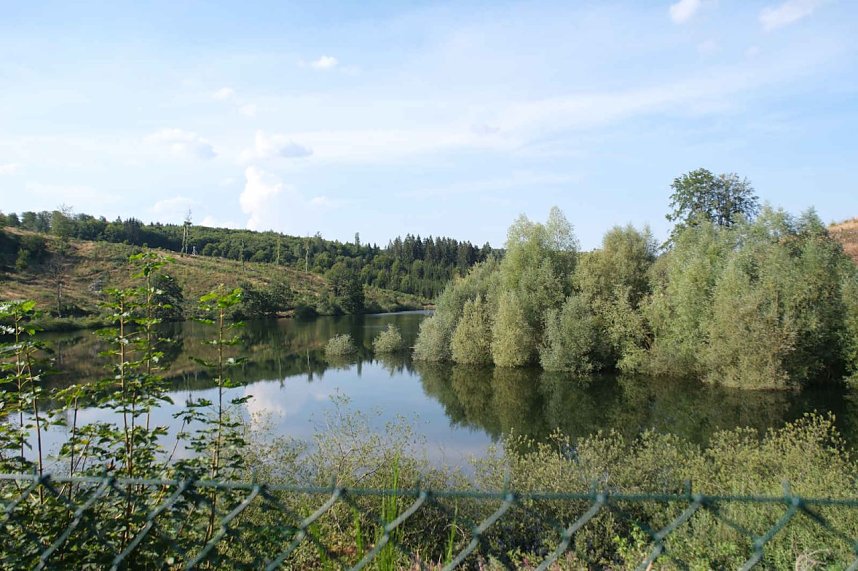 Peter Blei unterwegs an der Neust&auml;dter Talsperre