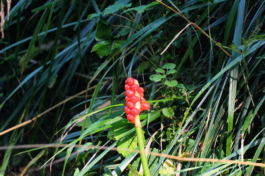 Peter Blei unterwegs an der Neust&auml;dter Talsperre