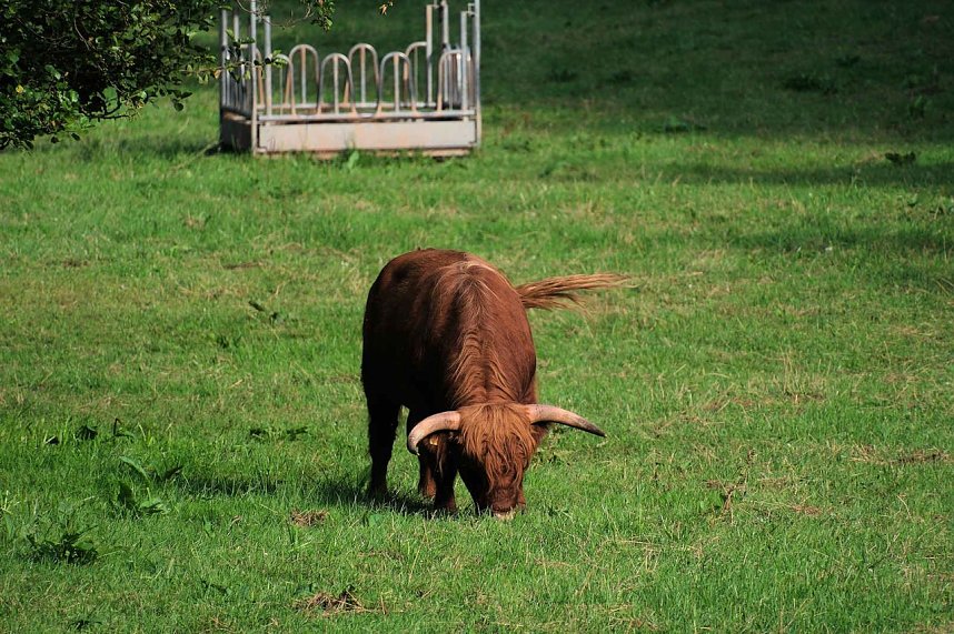 Peter Blei unterwegs an der Neust&auml;dter Talsperre