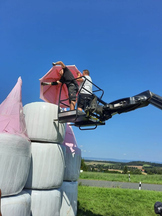 Ein M&auml;rchenschloss aus Stroh in Gro&szlig;lohra