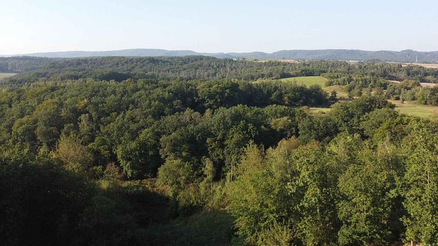 Peter Blei unterwegs in der Windl&uuml;cke