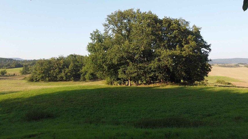 Peter Blei unterwegs in der Windl&uuml;cke
