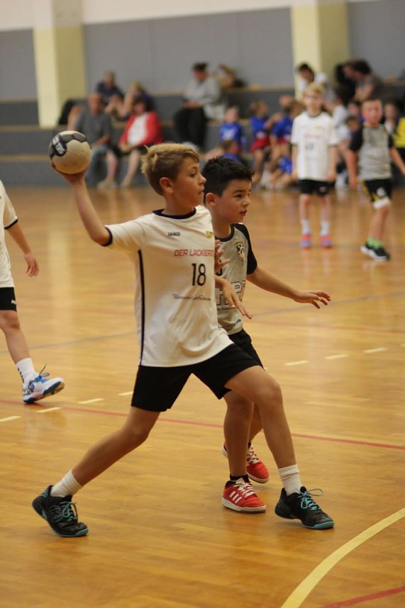 Handballer starten in die neue Saison