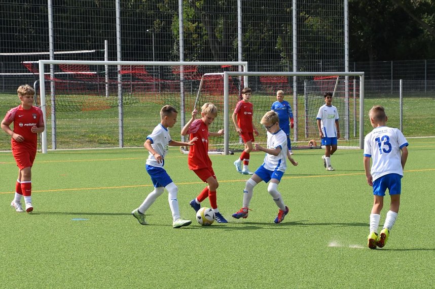 Wacker Nachwuchs wieder unterlegen