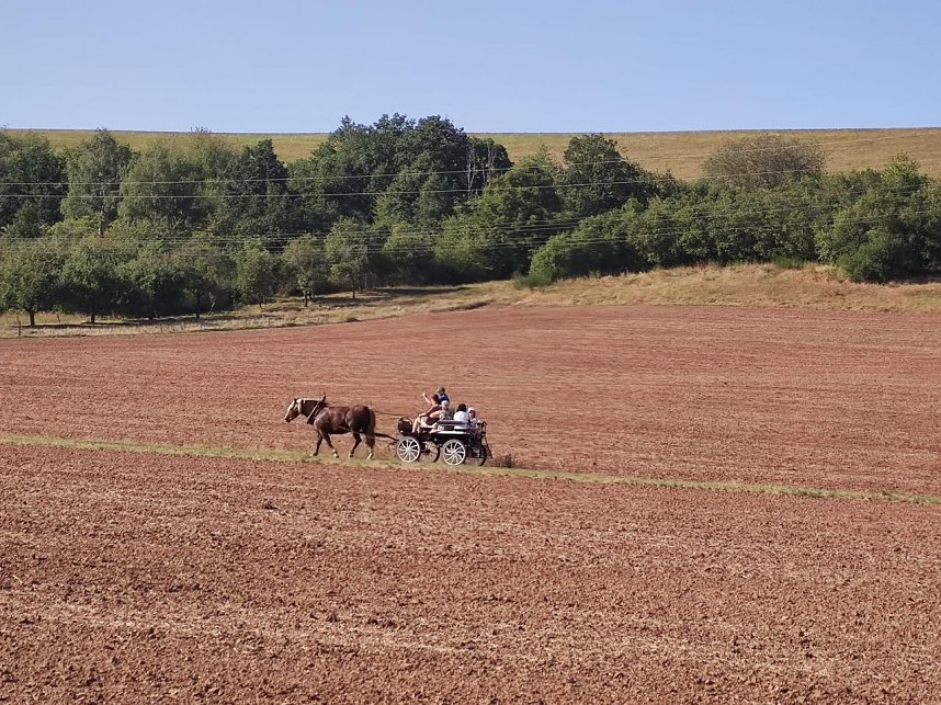Kleinbodunger Hoffest