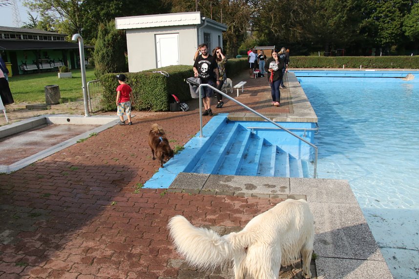Hundebaden im Salzaquellbad