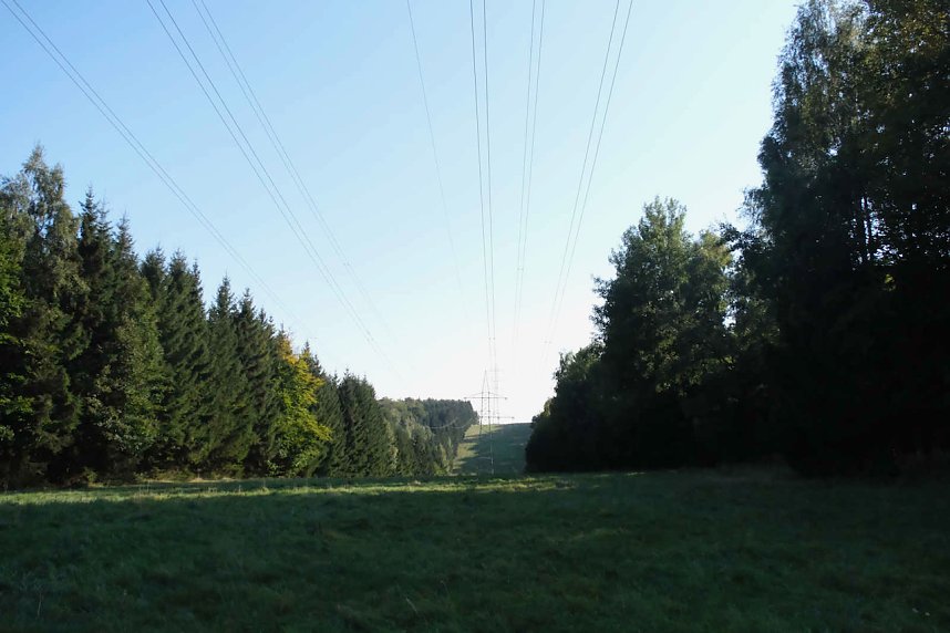 Peter Blei beim Waldspaziergang