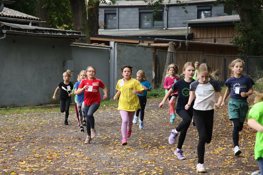 Nordh&auml;user Schulcrosslauf im Gehege