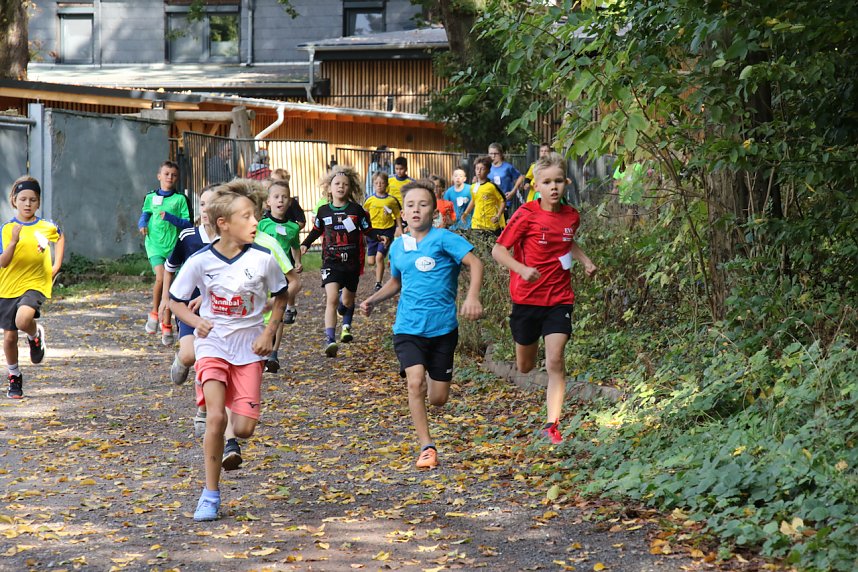 Nordh&auml;user Schulcrosslauf im Gehege