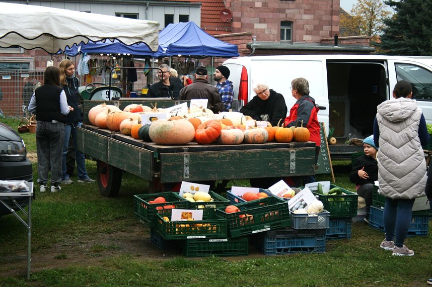 Bauernmarkt in Kelbra