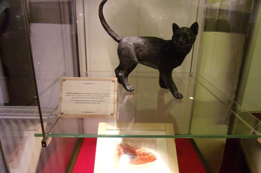 Ausstellungerer&ouml;ffnung im Tabakspeicher