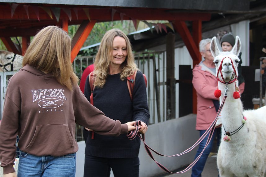 Unterwegs mit den Unstrut Lamas aus Herbsleben
