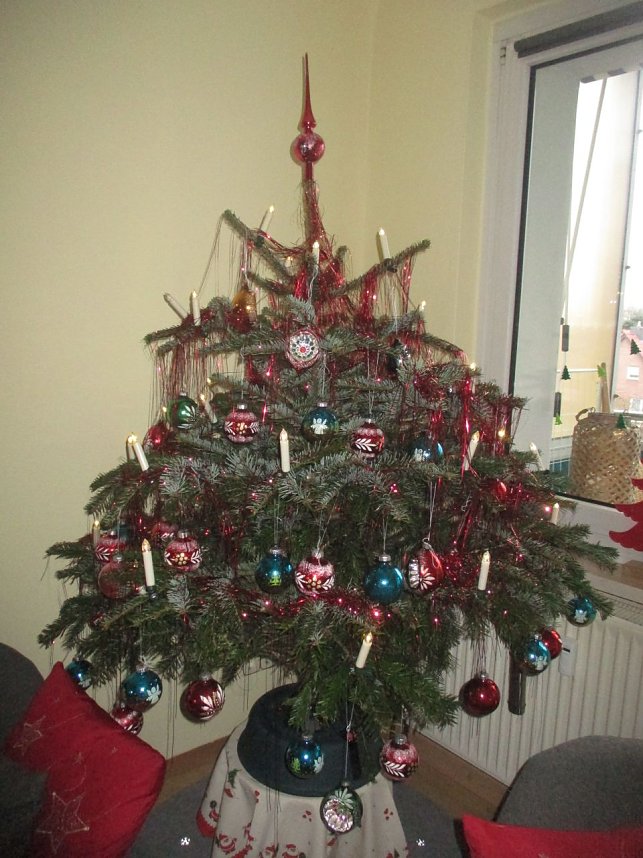 Ein Baum f&uuml;r alle Jahreszeiten