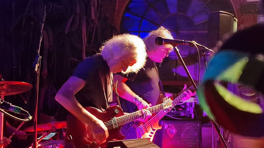 Engerling zu Gast in Steinbr&uuml;cken