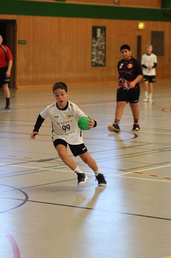 NSV-Handball am Wochenende
