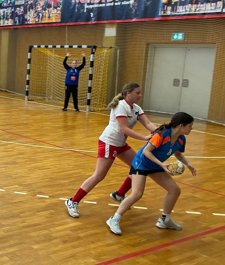 NSV-Handball am Wochenende