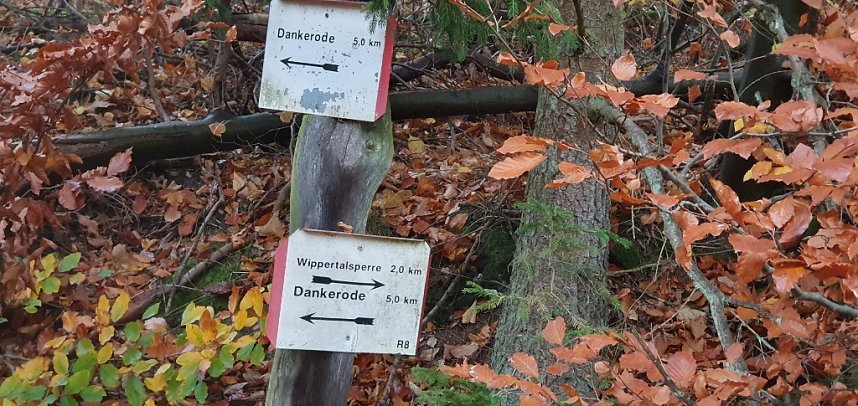 18. Harz-Hunderter Extrem Seesen-Brocken-Eisleben