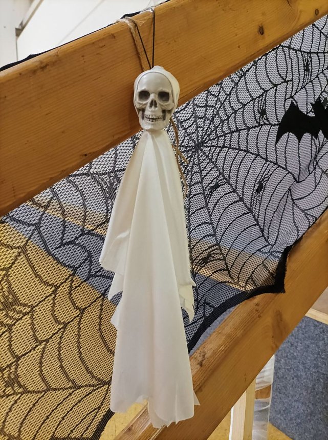 Viel zu tun f&uuml;r die Handballer des NSV