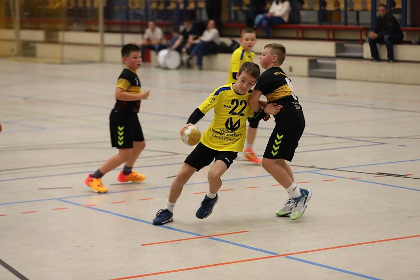 Viel zu tun f&uuml;r die Handballer des NSV