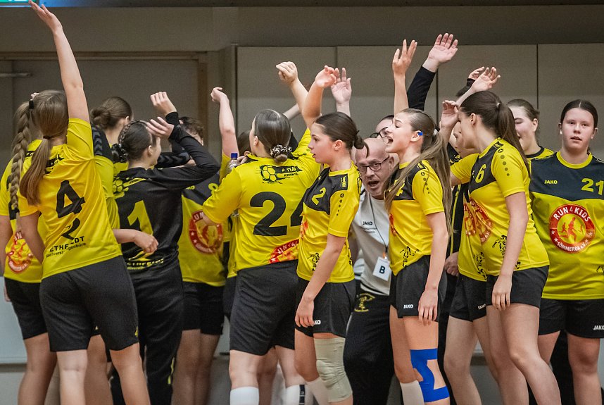 Viel zu tun f&uuml;r die Handballer des NSV