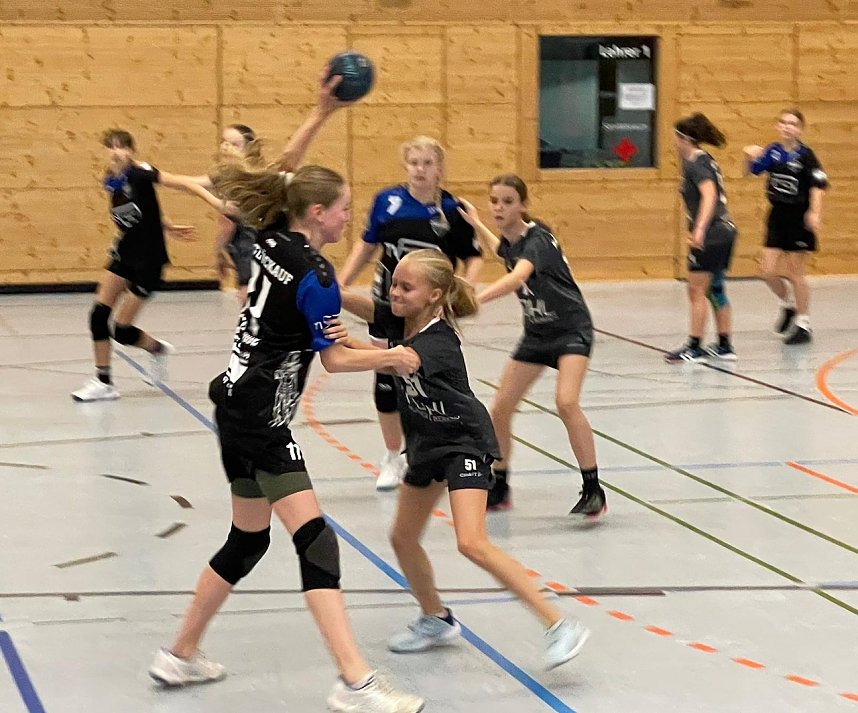 Viel zu tun f&uuml;r die Handballer des NSV