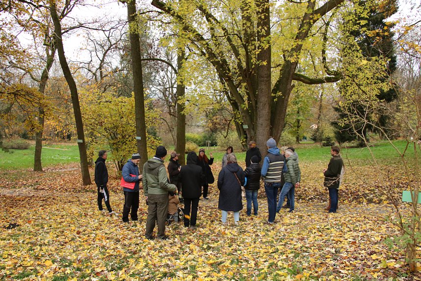 Artistik zwischen Baum und Borke - im Park Hohenrode lud man zu einem k&uuml;nsterlischen Waldspaziergang