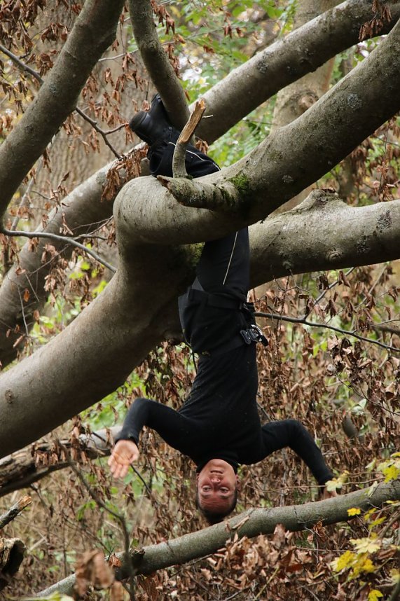 Artistik zwischen Baum und Borke - im Park Hohenrode lud man zu einem k&uuml;nsterlischen Waldspaziergang