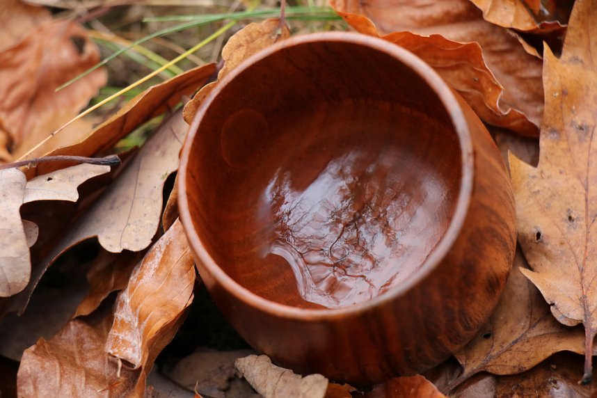 Artistik zwischen Baum und Borke - im Park Hohenrode lud man zu einem k&uuml;nsterlischen Waldspaziergang