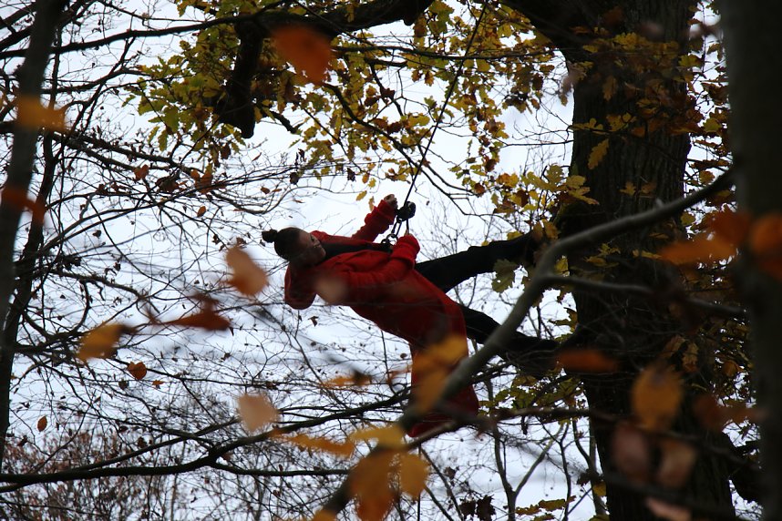 Artistik zwischen Baum und Borke - im Park Hohenrode lud man zu einem k&uuml;nsterlischen Waldspaziergang
