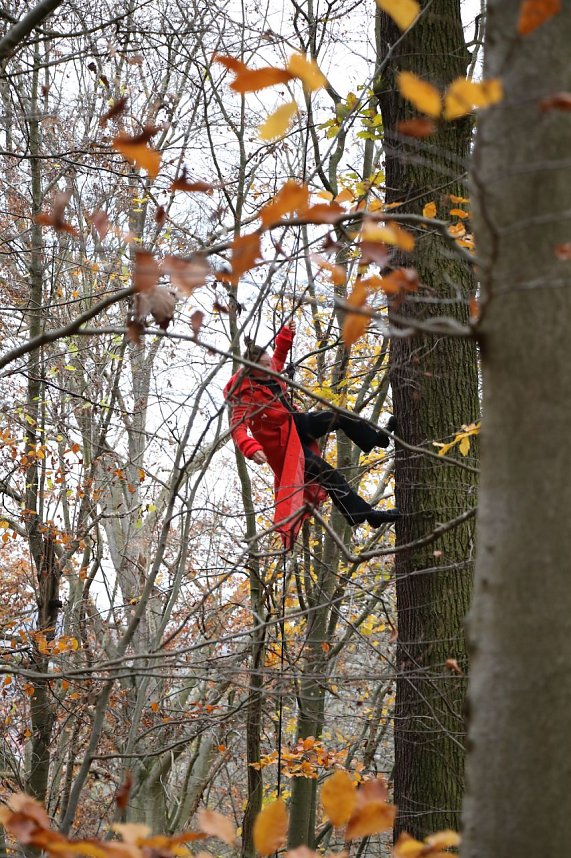 Artistik zwischen Baum und Borke - im Park Hohenrode lud man zu einem k&uuml;nsterlischen Waldspaziergang