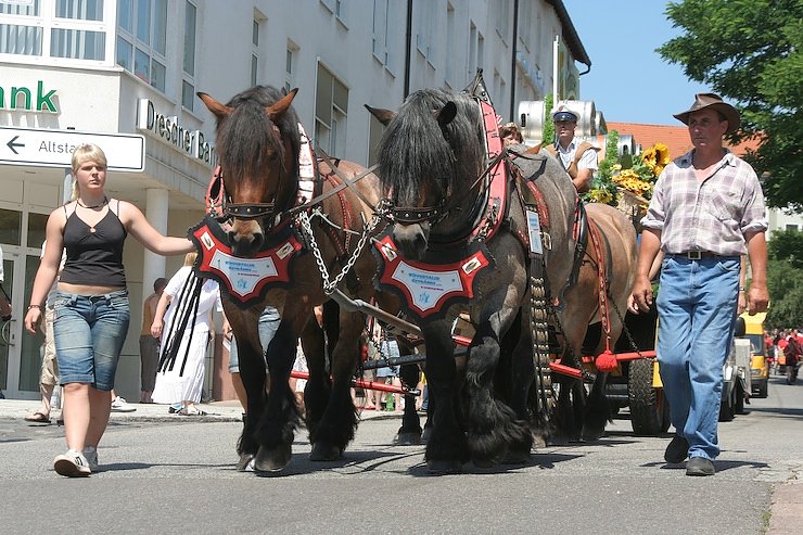 Festumzug zum Rolandsfest 2007