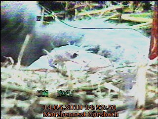 Die Vierte ist da...