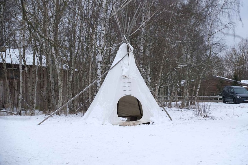 Hundeschlittenrennen im Harz