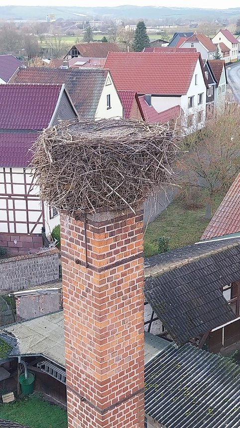 Windeh&auml;user Storchennest wird f&uuml;r den Fr&uuml;hling repariert