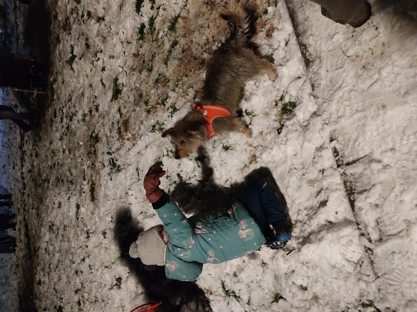 Knutfest in Kleinbodungen