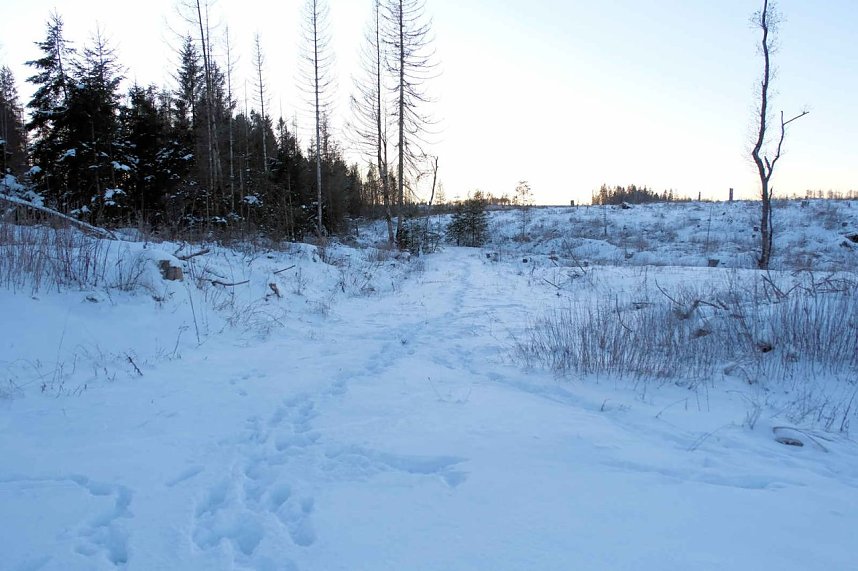 Winterlicher Harzausflug mit Kamera