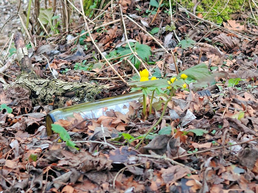 Die ersten Vorboten des Fr&uuml;hlings